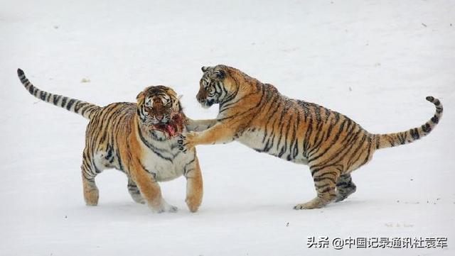 历史上有两次湖广填四川（四川人必须知道）(8)