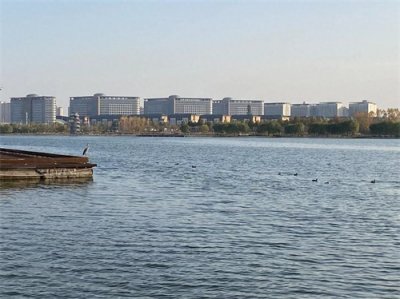 ​法律中的债权人代位权和债权人撤销权