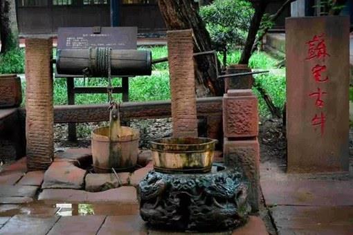 苏轼生于眉州什么地方?