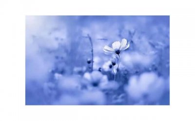 ​国庆节给女朋友买什么礼物比较好