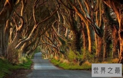 ​世界十大最美旅游景点排行榜，绝不能错过的人间美景。