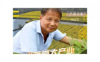 ​女生在情感中的安全感，有31%来自于对方的经济基础