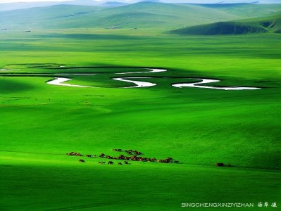 ​这里是世界上最美的草原——呼伦贝尔大草原！