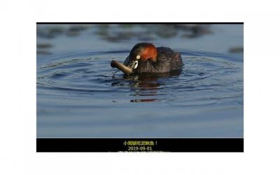 ​婚房的气球怎么处理