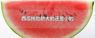 ​西瓜买大肚脐还是小肚脐好吃 西瓜买肚脐大的还是小的