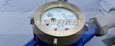 ​自来水表能竖着装吗 水表能竖着装吗?