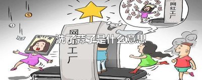 ​洗了蒜了是什么意思