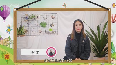 ​红毛丹是热性还是凉性