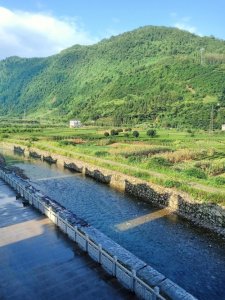 ​什么是乡村振兴