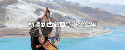 ​新疆到西藏自驾多少公里