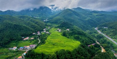 ​江西省奉新县历史沿革及行政区划